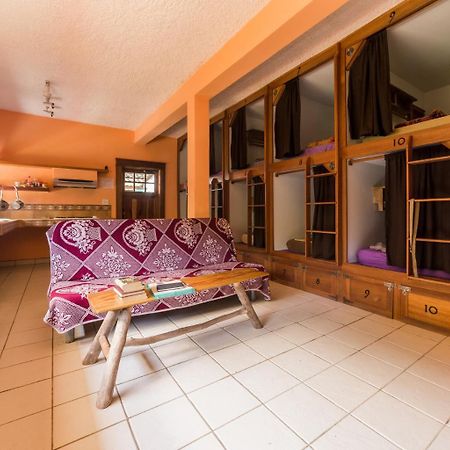 A Piece Of Ground Hostel Punta Gorda Exterior foto