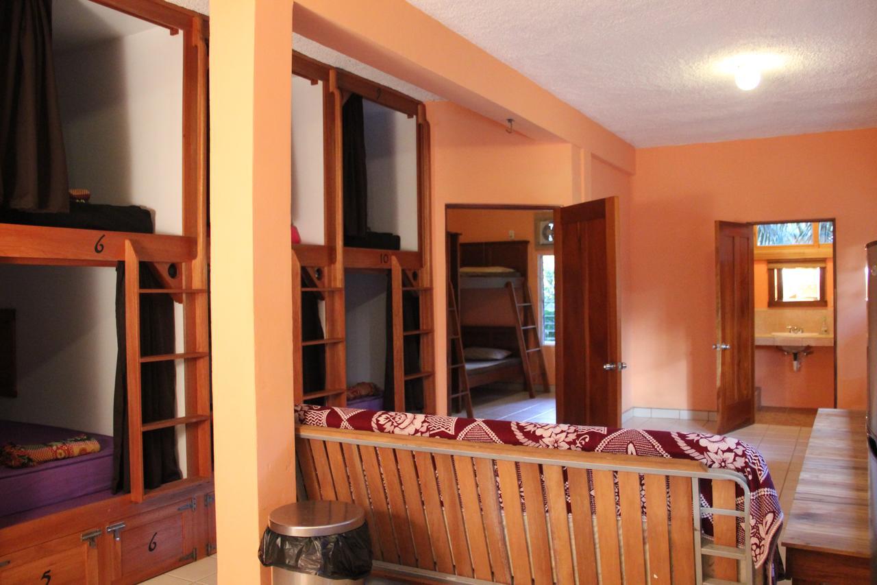 A Piece Of Ground Hostel Punta Gorda Exterior foto