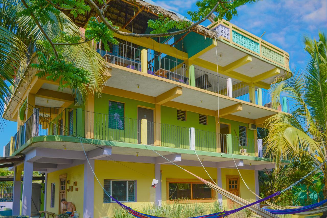A Piece Of Ground Hostel Punta Gorda Exterior foto
