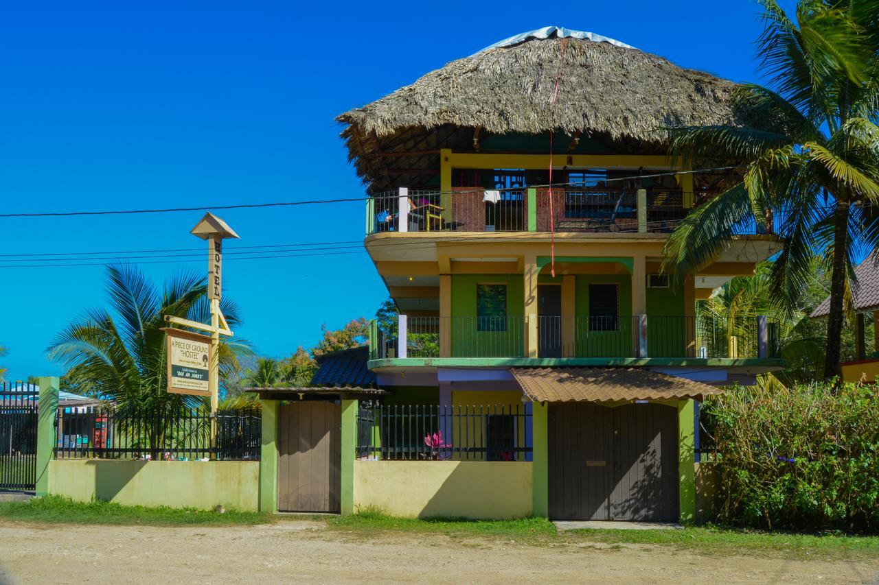 A Piece Of Ground Hostel Punta Gorda Exterior foto
